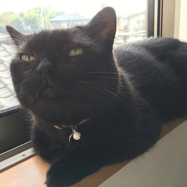 9d3e856f a8d5 4d0f 8990 ff5495fef851