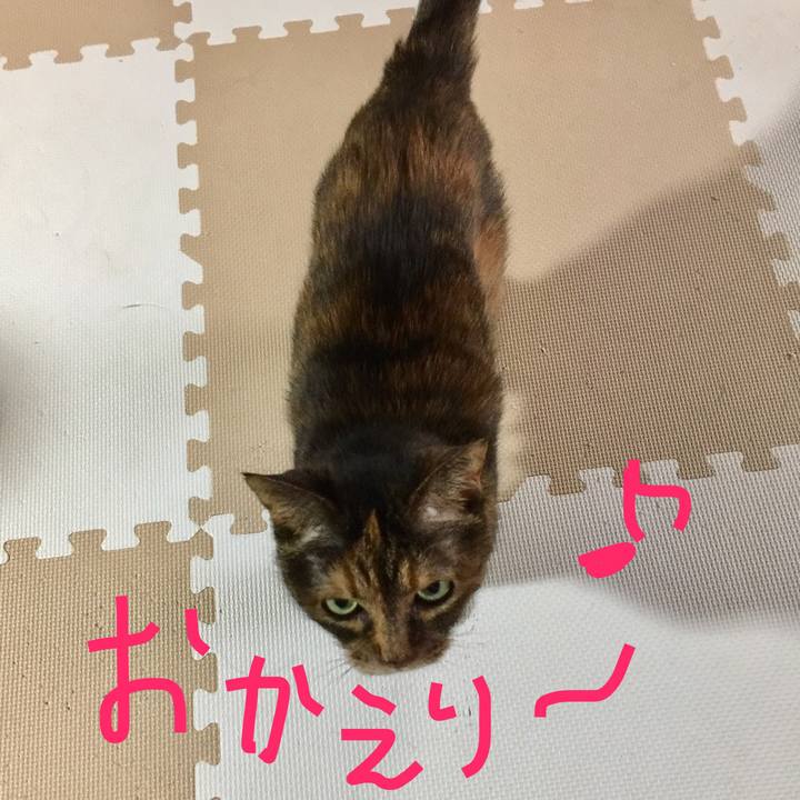 9d3fe1a7 a676 43cf 87a6 b2ec0be22009