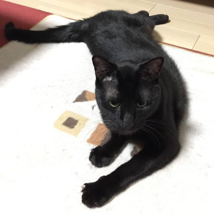 9d3fe300 c8a8 46f1 b41e 469da312727e