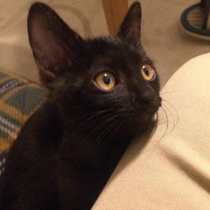 9d40f095 8c3e 453c 8b61 9f9e62dd5100