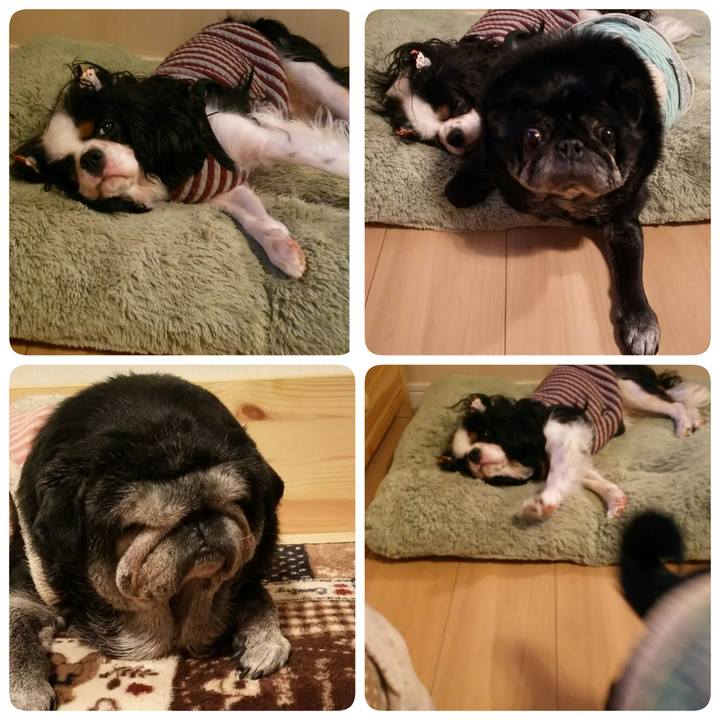 9d414410 c3e0 42bf a4dc 3739864af984