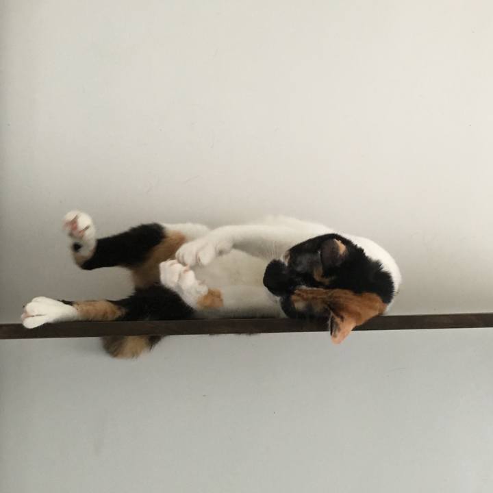 9d4157d0 cf03 4f2b b489 a5ddc0774a8f