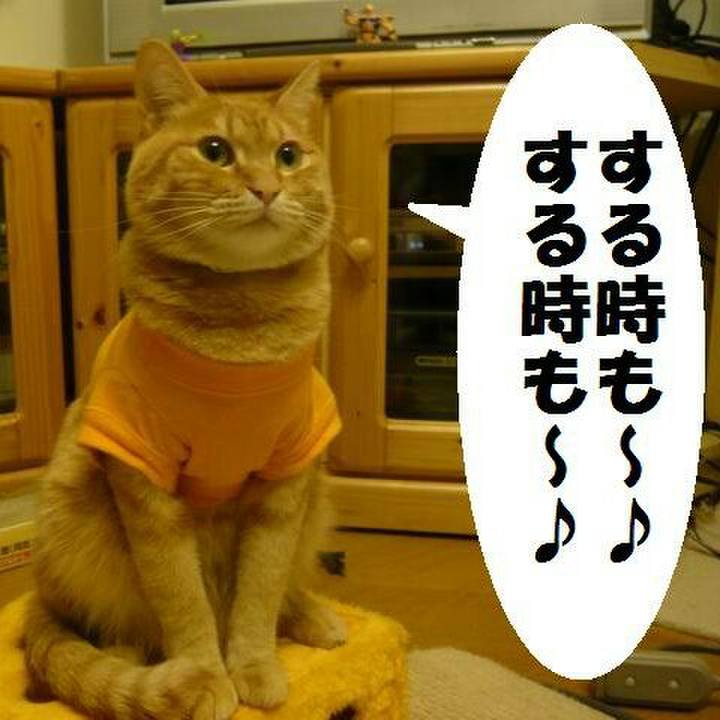 9d41abc3 4a34 42b5 b594 16e9962c6542