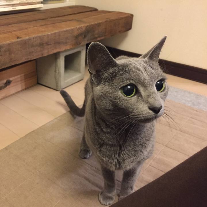 9d41d50a d1c1 4616 9057 6395ef98237f