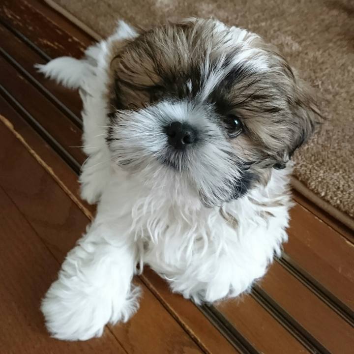 9d42746b 0cc9 4879 a7bf 9d1e91e7dc12