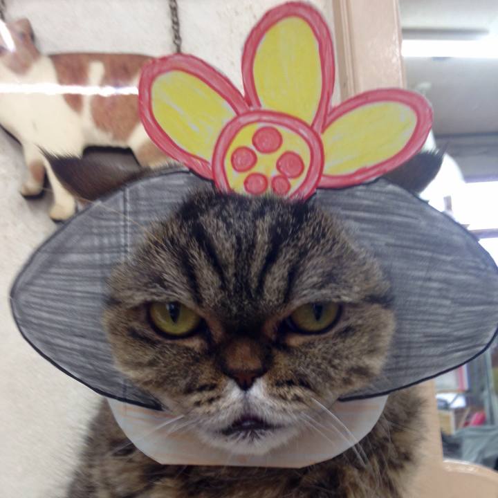 9d42822b 5927 472e 9083 b1b93492fa96