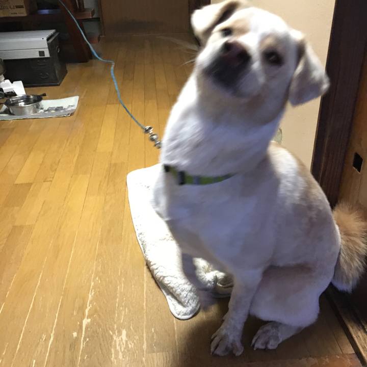 9d42bb34 06b0 49f9 b6a9 750e1af59a1d