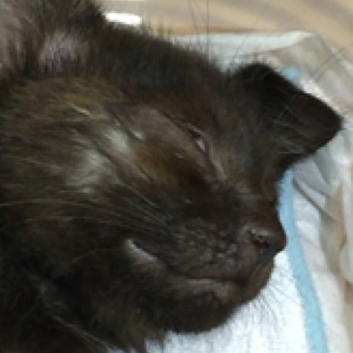 9d42e7f5 d489 4e4d 9a3b 3833897593cd