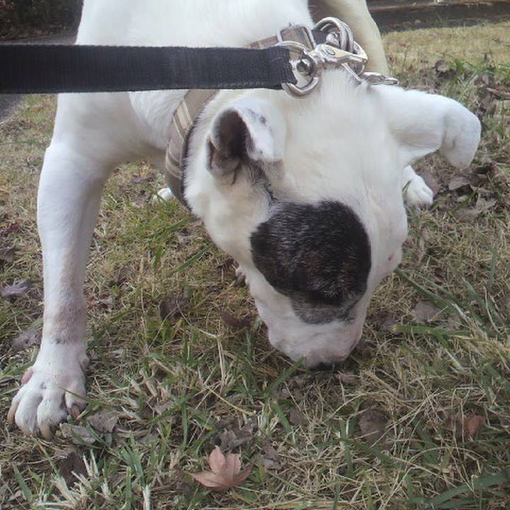 9d430fda cd4d 4d73 a668 072f1edbada3