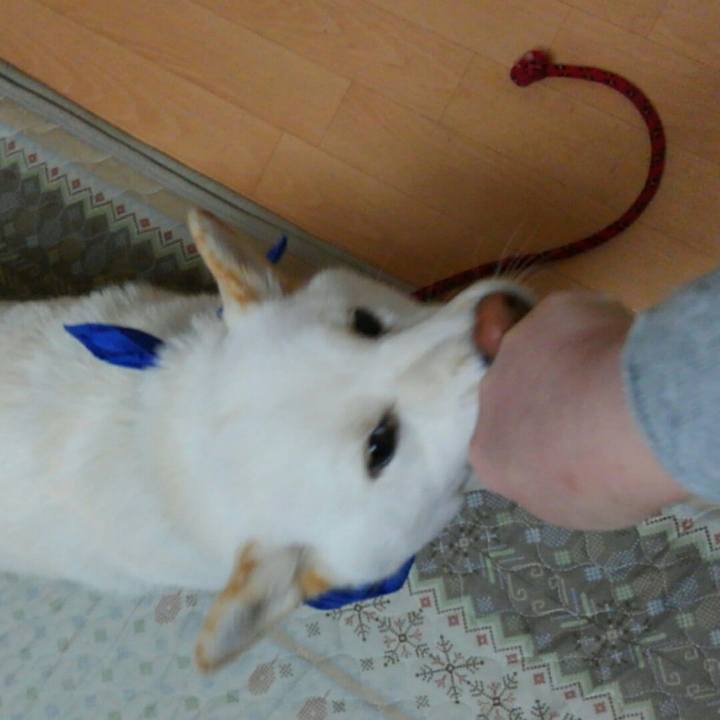 9d4397f5 799d 482a a7af 8c17b6d36d6d