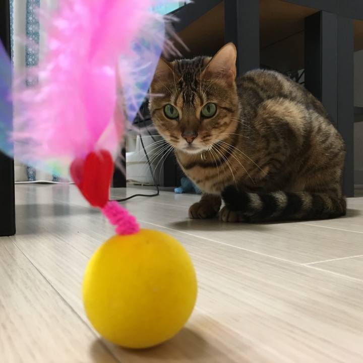 9d43d8e4 2ebf 4447 8862 ee5d9d765a33