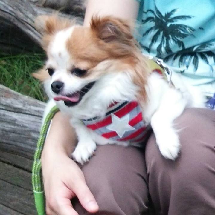 9d441e26 b9cd 4217 b78d 123c5e64bc6a