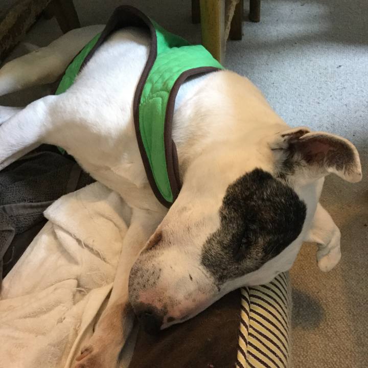 9d448542 a248 4d4e 958a 32f7edfc5bd3