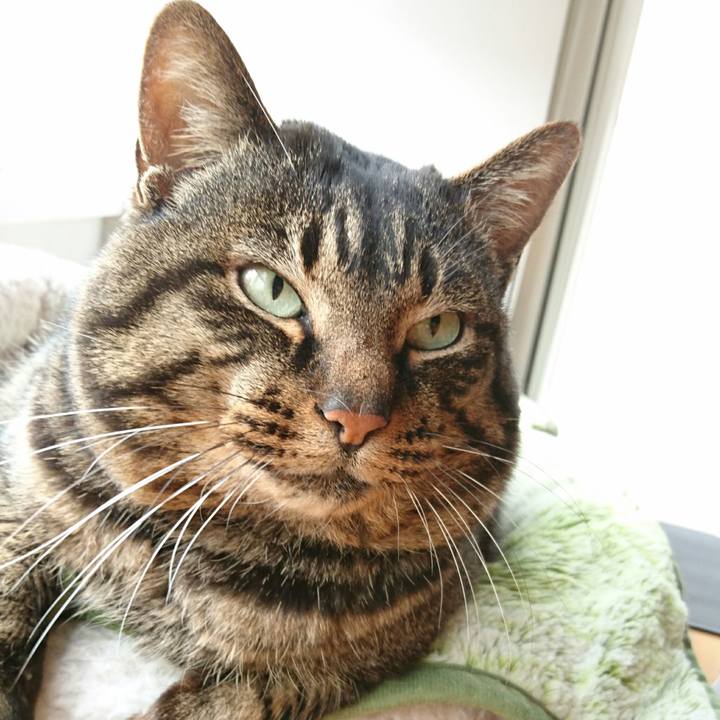 9d44b0e2 6280 4491 b164 1d7a29808211