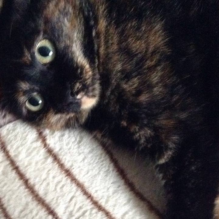 9d45c3b0 6187 4ee4 a4b2 c2a886ce82ec