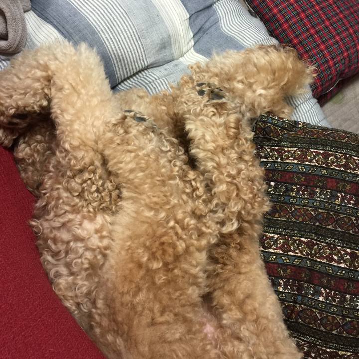 9d4669a0 22ec 4d07 8ddf ead2983397d8