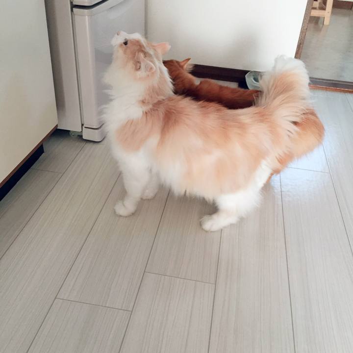 9d466bc6 ac97 4523 98d5 3edfec7dcd14