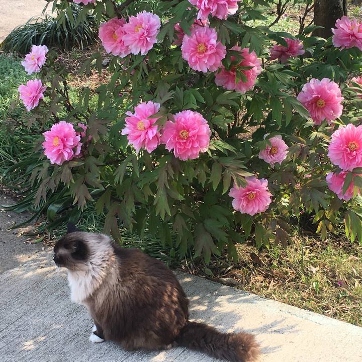 9d468dcb 7f95 4155 8522 40a12bb802c2