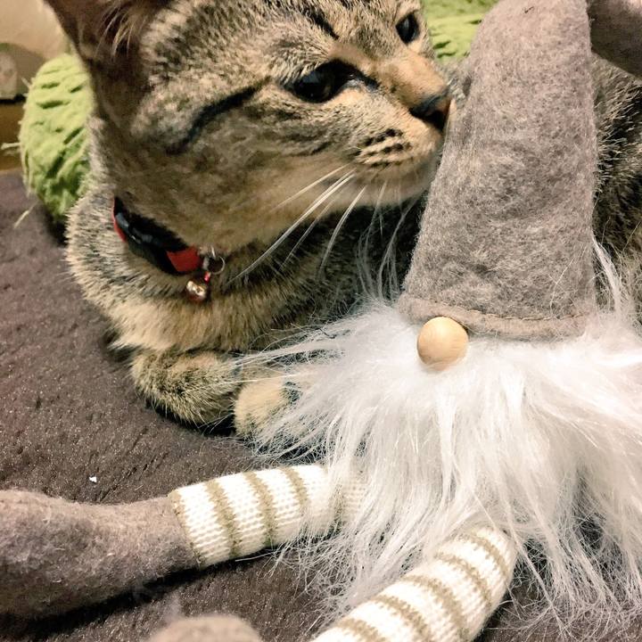 9d46b2e3 19b1 4c64 a3ae 55fed7085f57