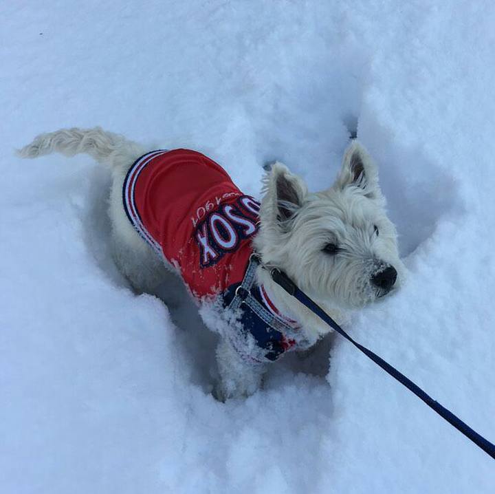 9d46c690 f762 45d0 b501 24bbf88a93c1