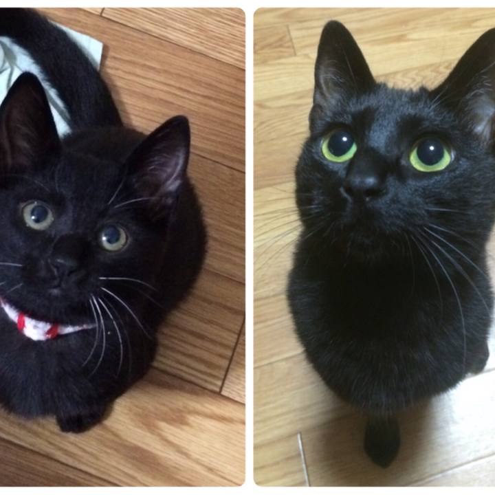 9d46e10d 20f0 4df8 a728 abc722acd952