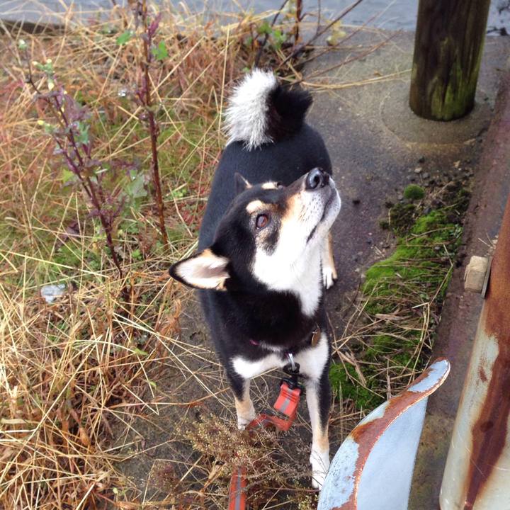 9d46ff73 23a7 48f1 a7c1 b7e25126aefb