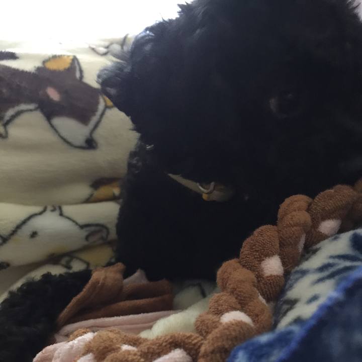 9d478704 8faa 44cb ac31 7b53dc888112