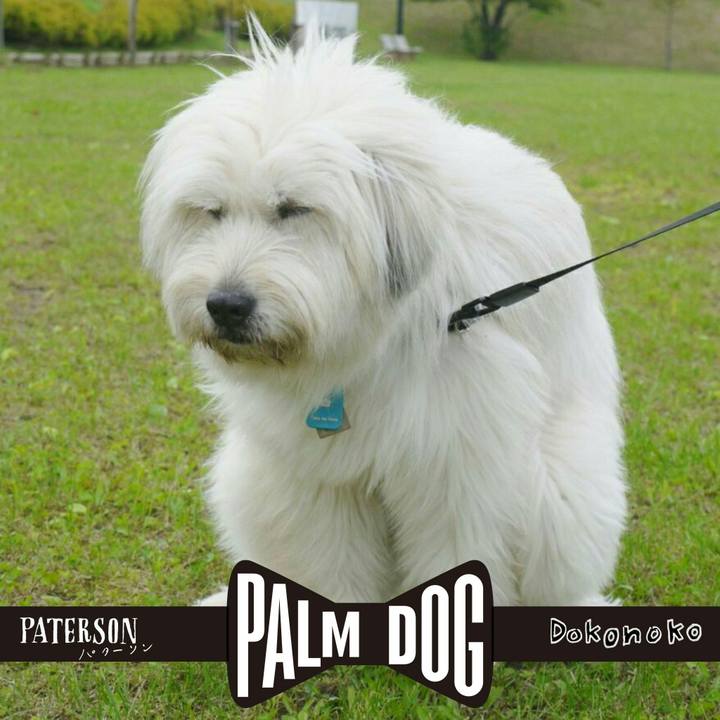 9d47b077 c9e8 4a6b a7c8 8de1d8455826