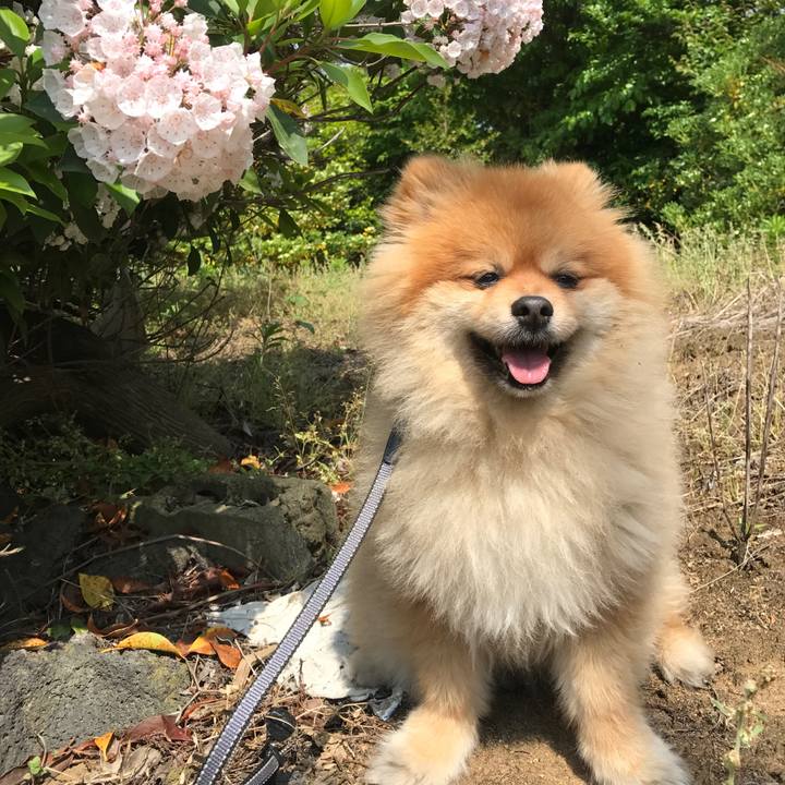 9d480ab1 1e77 42d7 b8b3 4951964b5fb6