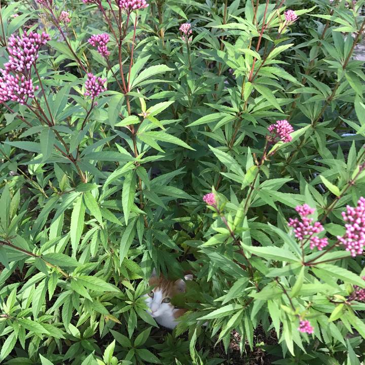 9d48101f 5d52 47a5 86ee 80e725aeb65a