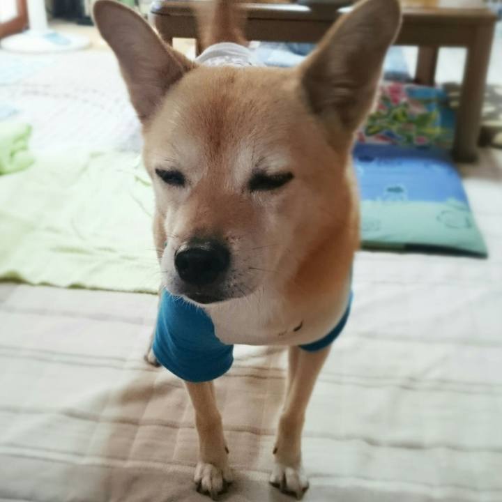 9d485bc2 2db3 49cc 9fd0 28903384f905