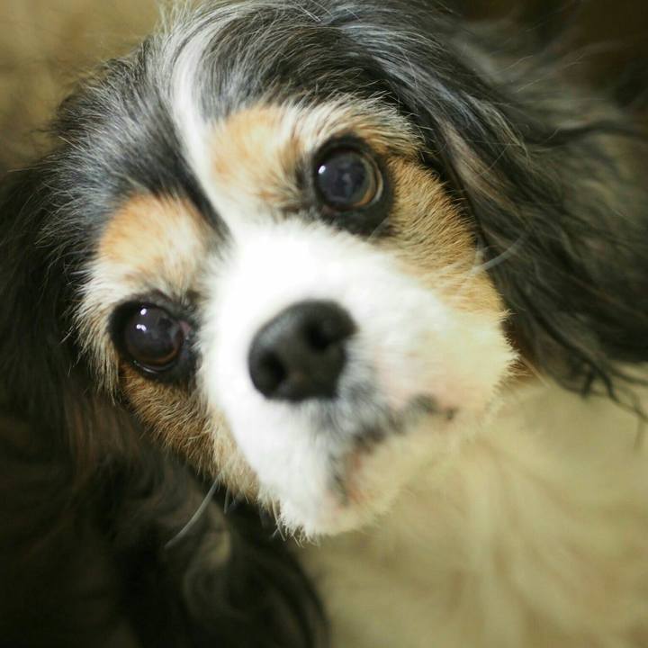 9d48aaaa dac5 45c4 b9b1 2b7053c8293e