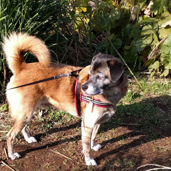 9d49aa8c 0b64 4411 a186 5a6fadab5e0d