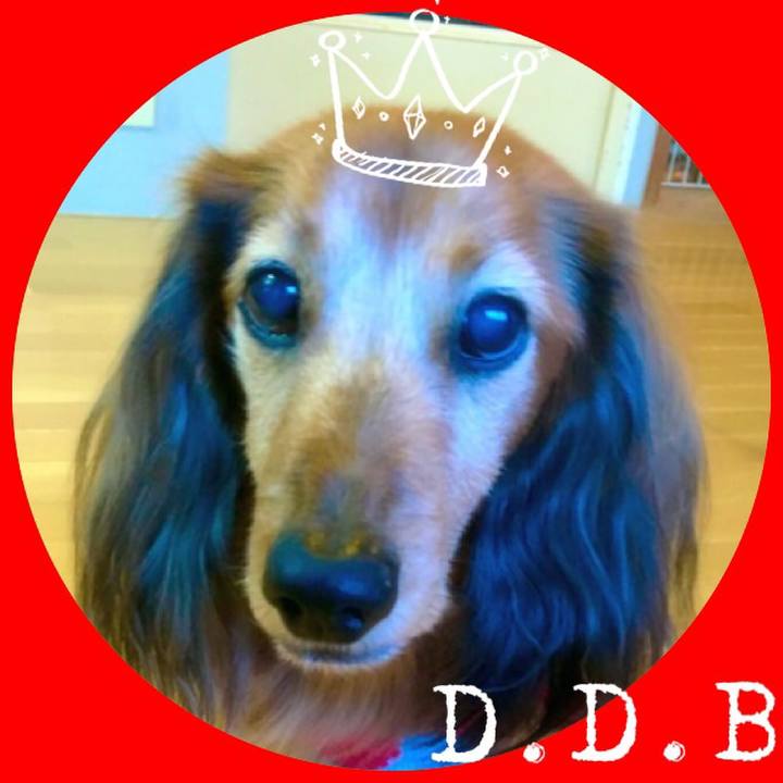 9d49d5e7 4e85 4d83 bfa4 17602def2d62