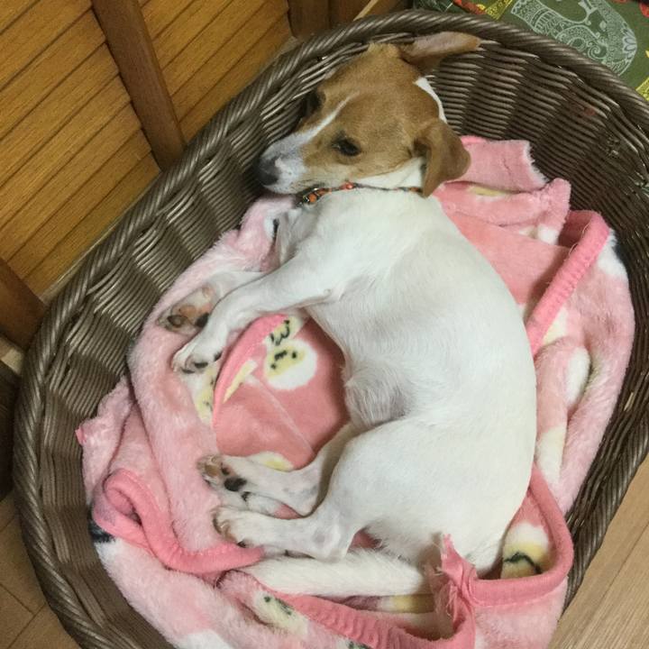 9d49d694 c053 480c 814d cee4f29322ff