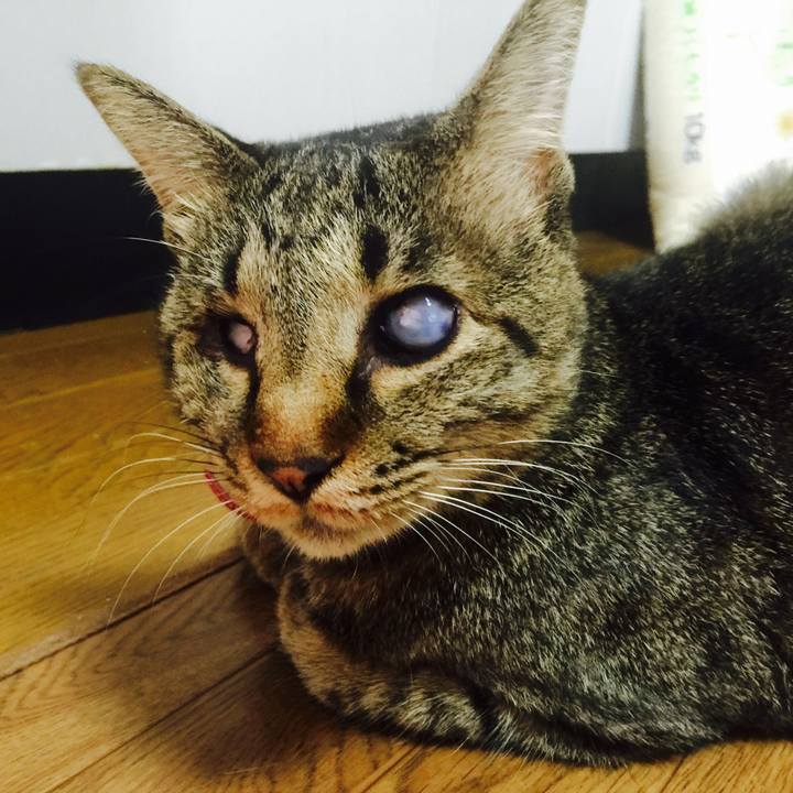 9d4a3191 cc7a 4d8a 943f ea2d1c28c897