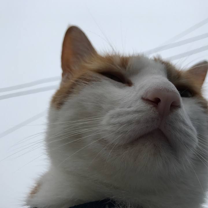 9d4a922c f1ef 4256 823a b9d9084fdc5d