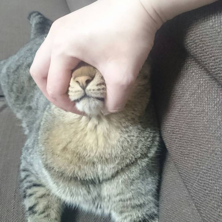 9d4b366c 4f47 465c 940d e73c06ada178