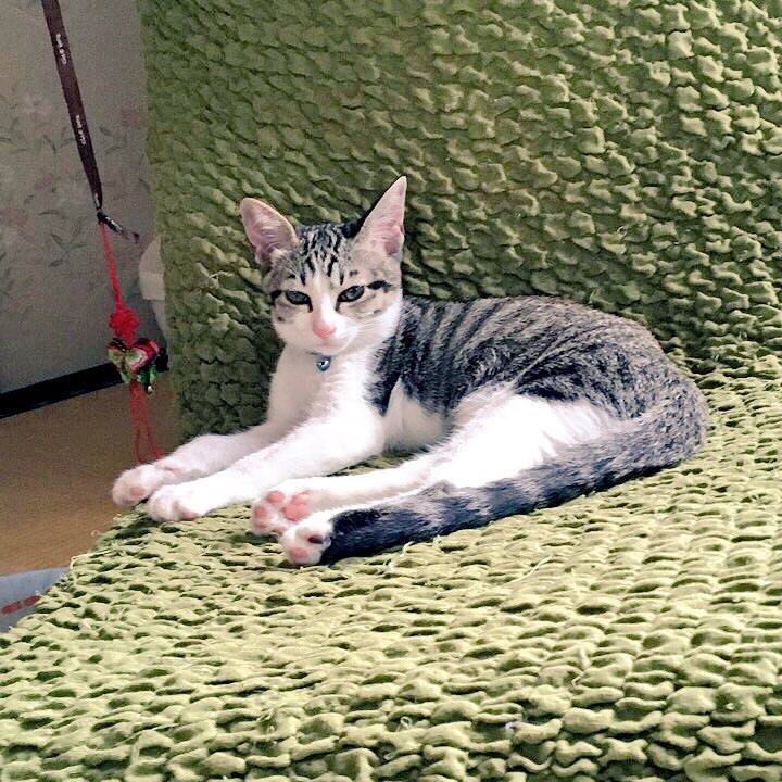 9d4bbcd7 8ab5 4fca 862c fe5aba0ce258