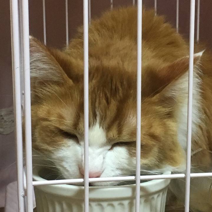 9d4bde28 033f 44f4 97e6 5482cad9060d