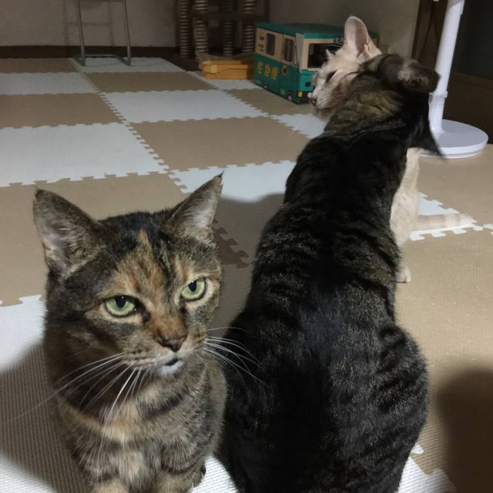 9d4c2a71 8db2 45cb 942d 43c5a963fc03