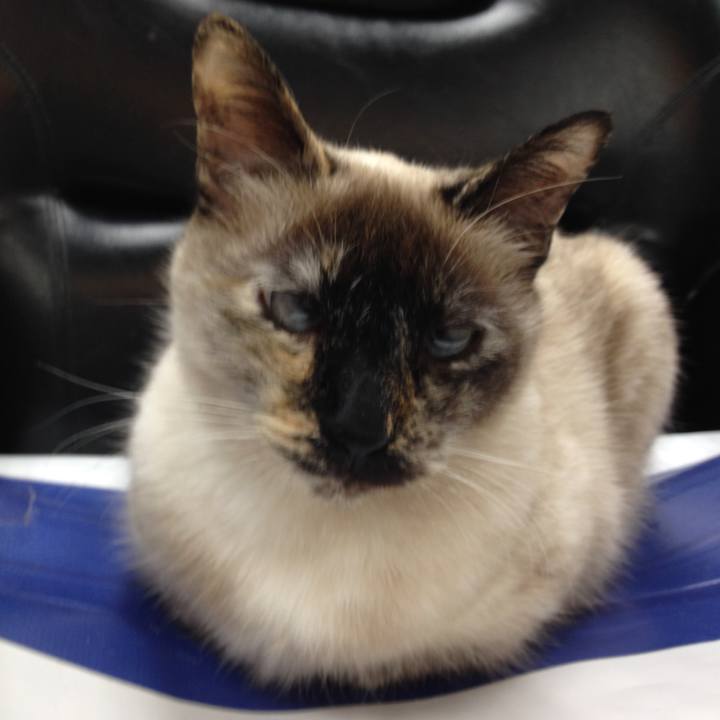 9d4c419c 82d9 4aad 916b bc1dbe7c9ecb