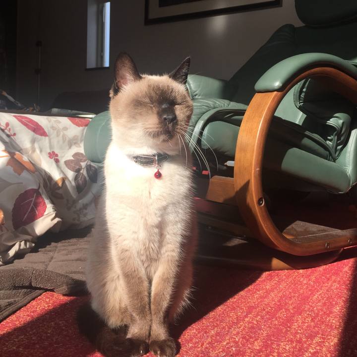 9d4c5a35 0a4b 4c37 8773 e909b50d8de6