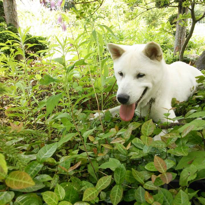 9d4c76bf baf3 40ea ade3 16295f6d955c