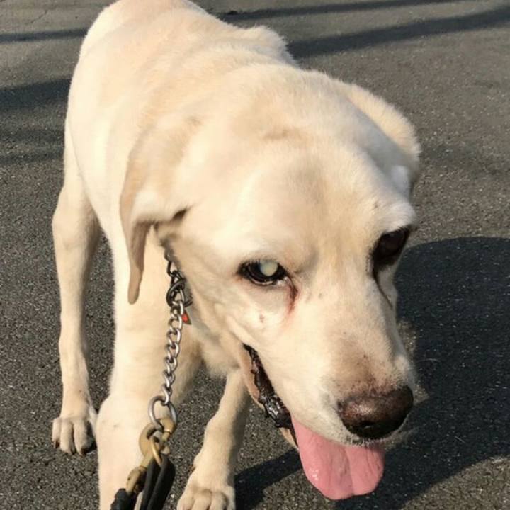 9d4cdcc3 b3bc 4e68 91a6 808871592c78