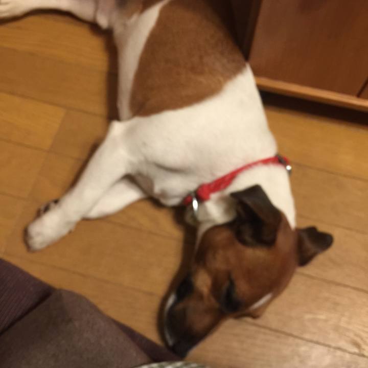 9d4d0872 9716 47fc a1ba dd3de3e5fe68