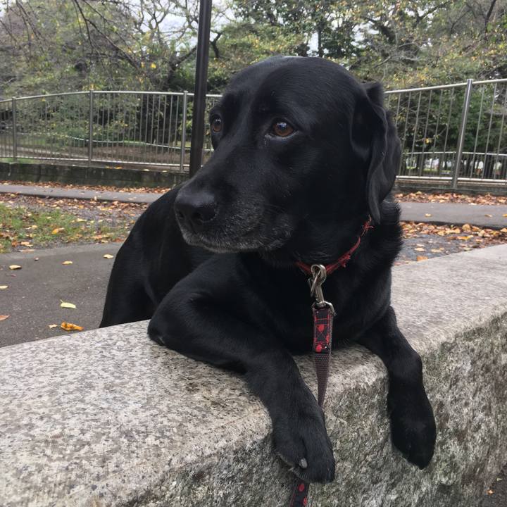 9d4d1764 64f2 4ab1 8e49 90868b321b72