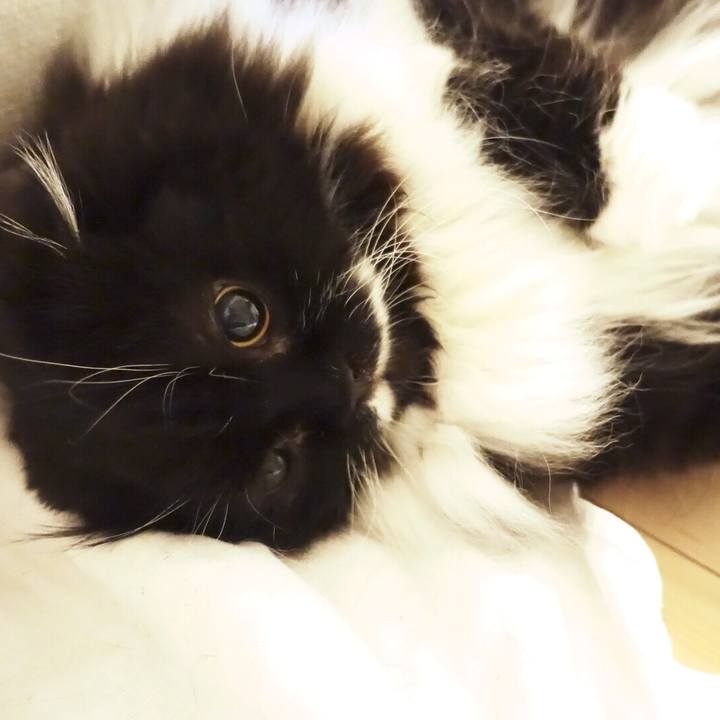 9d4d38b9 1410 429c 861a 1ac8d40081ba