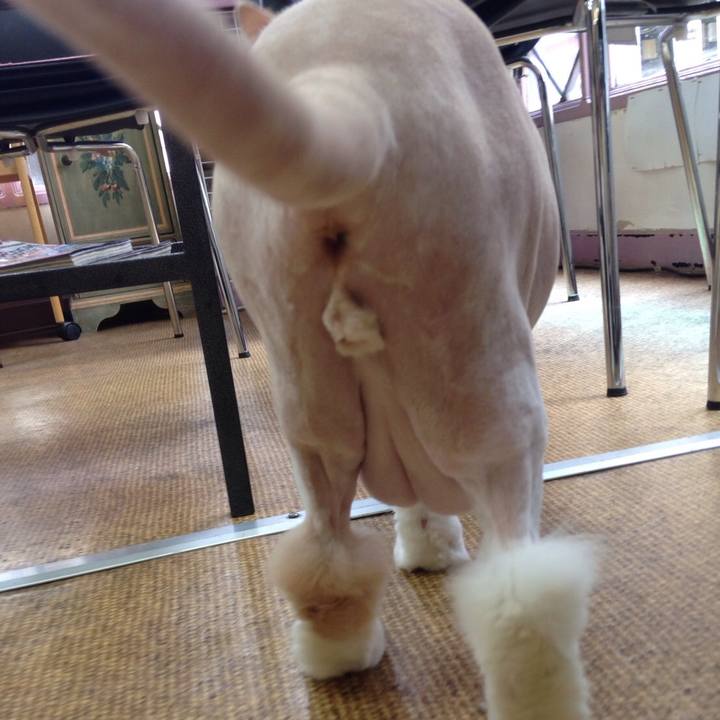 9d4dc606 4b9c 404d 9aec 4ad77c1cbb14