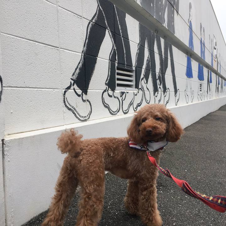 9d4ef699 648a 4d4e b646 8b14cfa67444